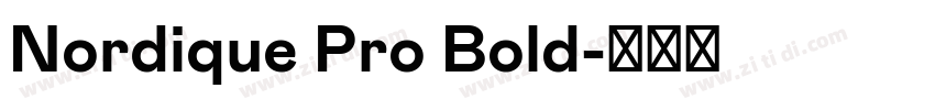 Nordique Pro Bold字体转换
